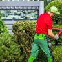 Landscaper Trimming Hedges With Shears